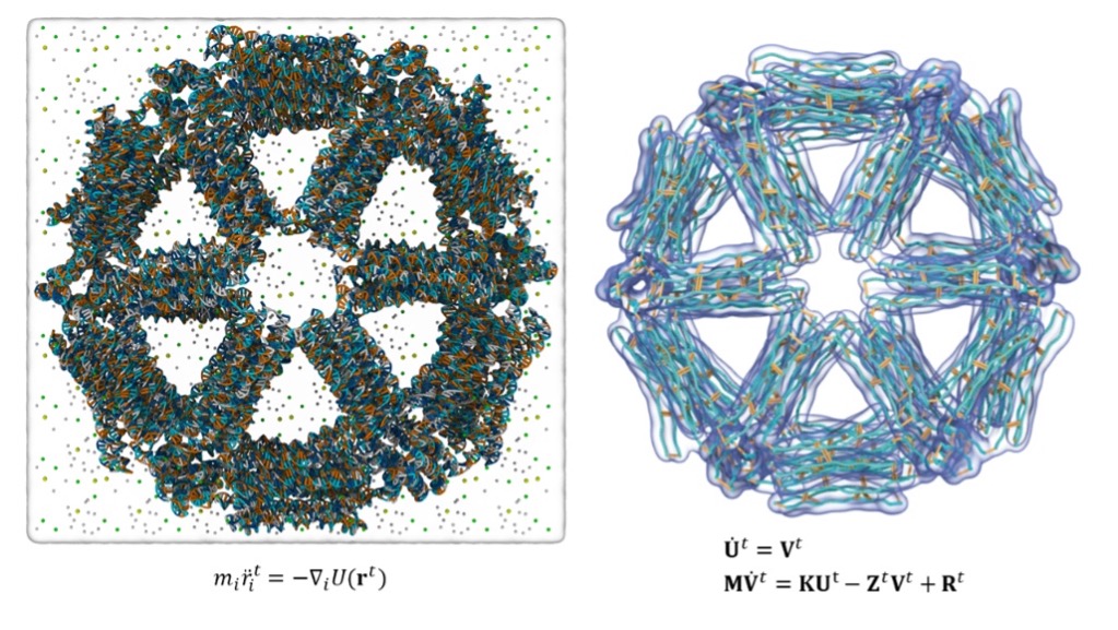 Computational mechanics and numerical algorithms